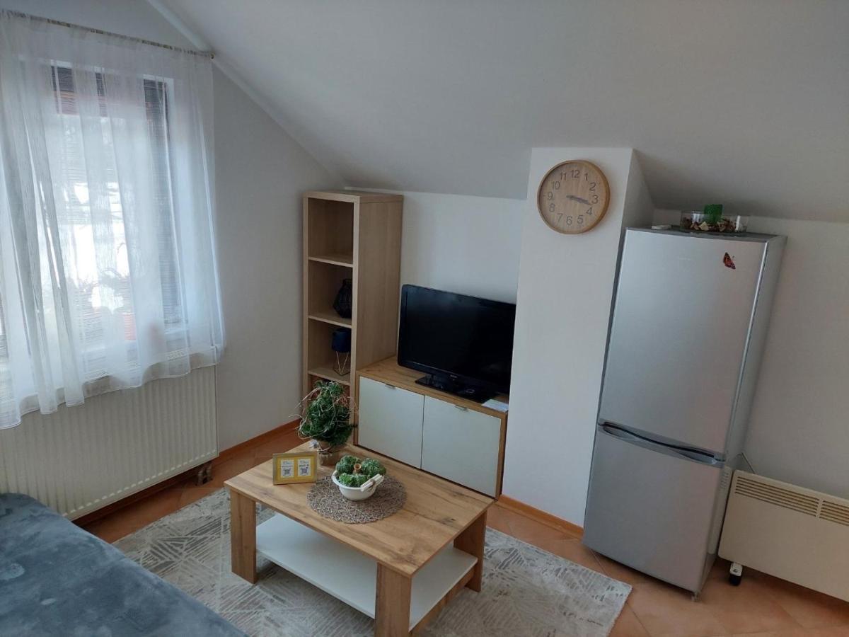 Apartma Anastasija Краньска Гора Экстерьер фото
